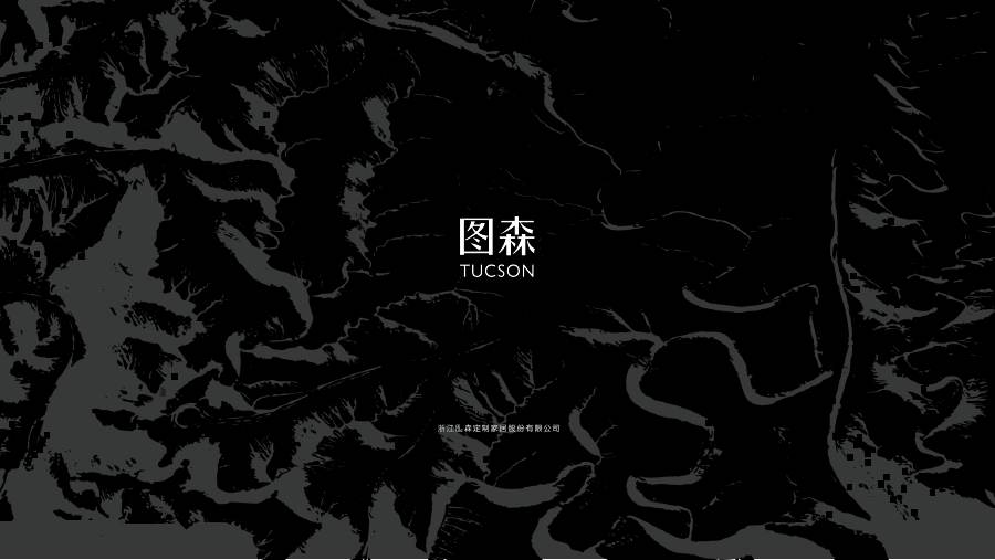 图森品牌介绍
