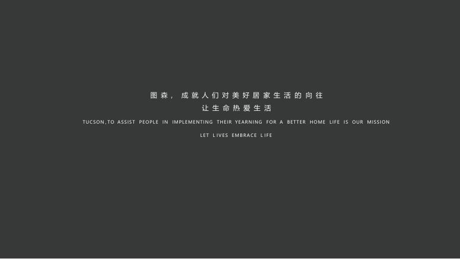 图森品牌介绍