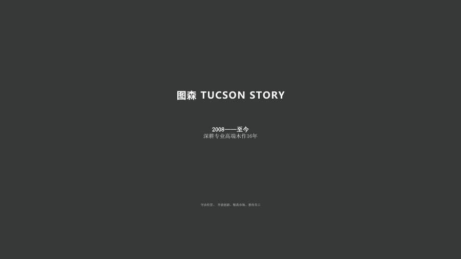 图森品牌介绍
