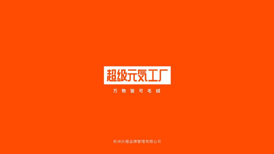 公司介绍